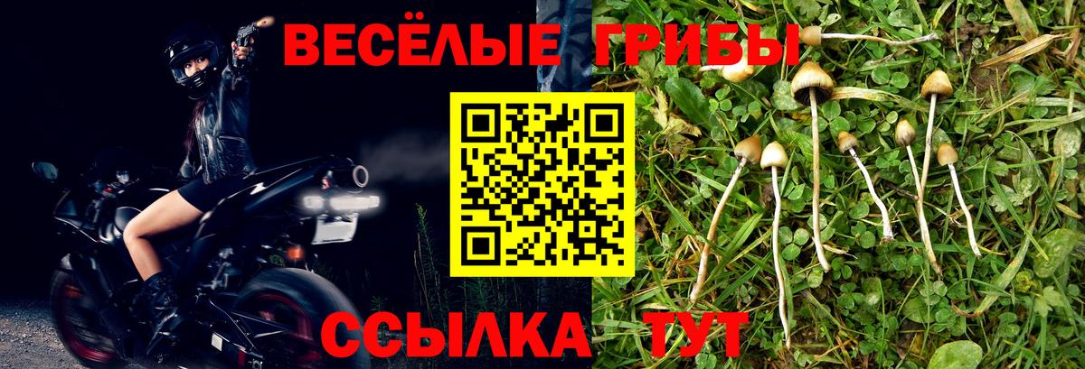 Псилоцибиновые грибы Cubensis  Вход с VPN  Волгодонск 