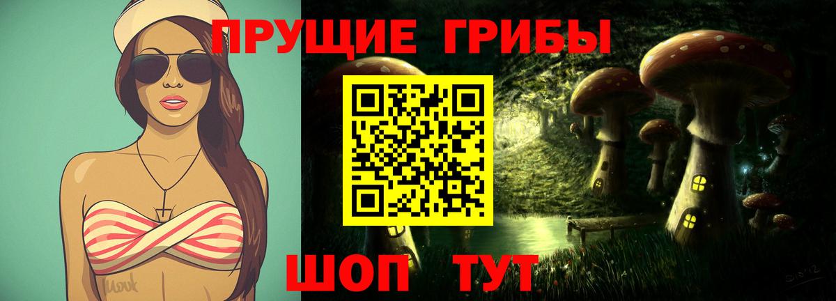 Псилоцибиновые грибы GOLDEN TEACHER Волгодонск